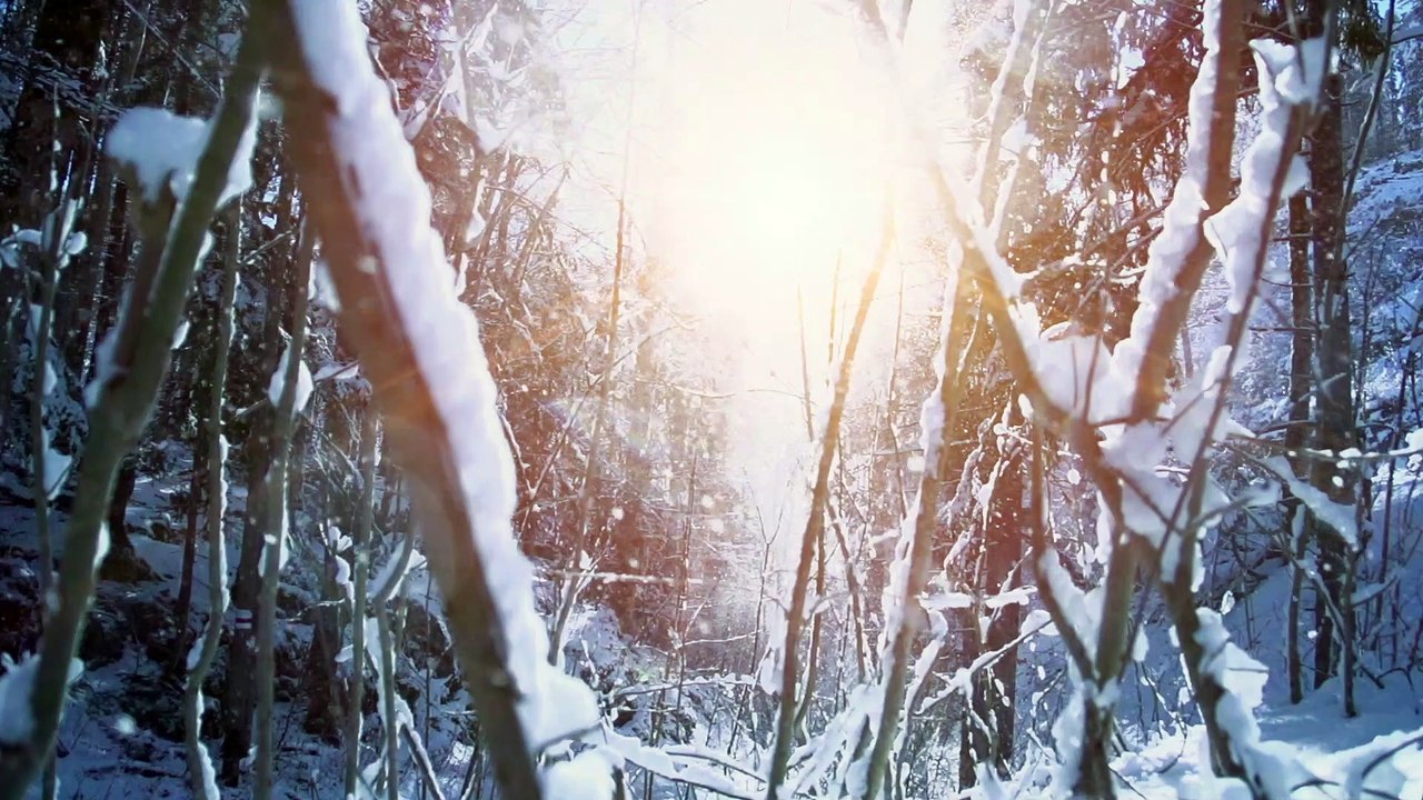 Why No Two Snowflakes Are Alike, According to Science