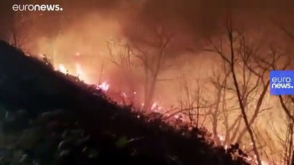 Trabzon, Giresun, Ordu ve Artvin'de yayılan örtü yangını nedir?