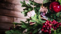 FLESZ: Jaka jest symbolika świąt Bożego Narodzenia?