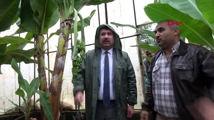 Mersin'de sağanak; ekipler geceyi teyakkuz halinde geçirdi -seralar yıkıldı