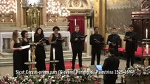 Sentidos do Sagrado - Sicut Cervus-prima pars (Giovanni Perluigi da Palestrina 1525-1594) - 22 de novembro de 2019