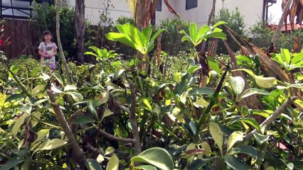 Brincando no Parquinho