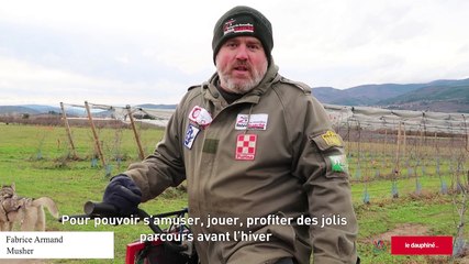 Des passionnés entraînent des chiens de traineaux