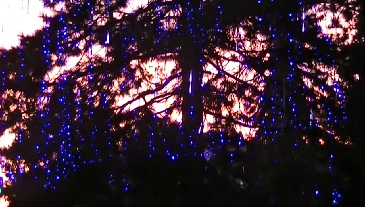 4th Advent Impressions