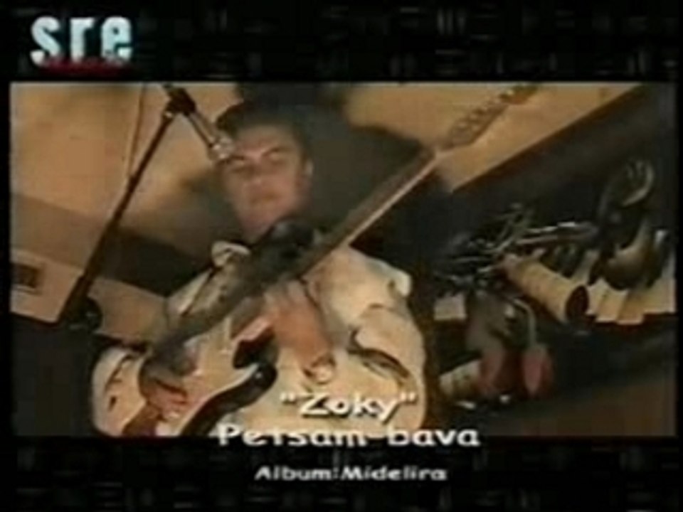 Zoky petsam-bava