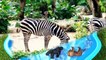 Aprende los colores con Zoo animal salvaje en agua Diapositiva Juguetes de huevo sorpresa para niños