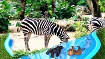 Aprende los colores con Zoo animal salvaje en agua Diapositiva Juguetes de huevo sorpresa para niños