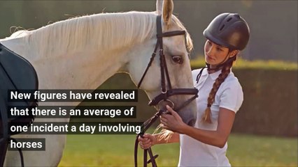 How to safely overtake a horse on the road