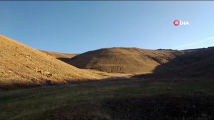 Hayvan barınağında bulunan havan mermisi böyle imha edildi