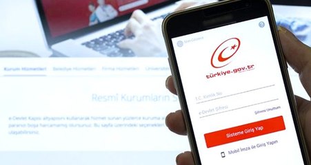 Elektrik ve doğal gazda abonelik işlemleri e-Devlet'ten yapılabiliyor
