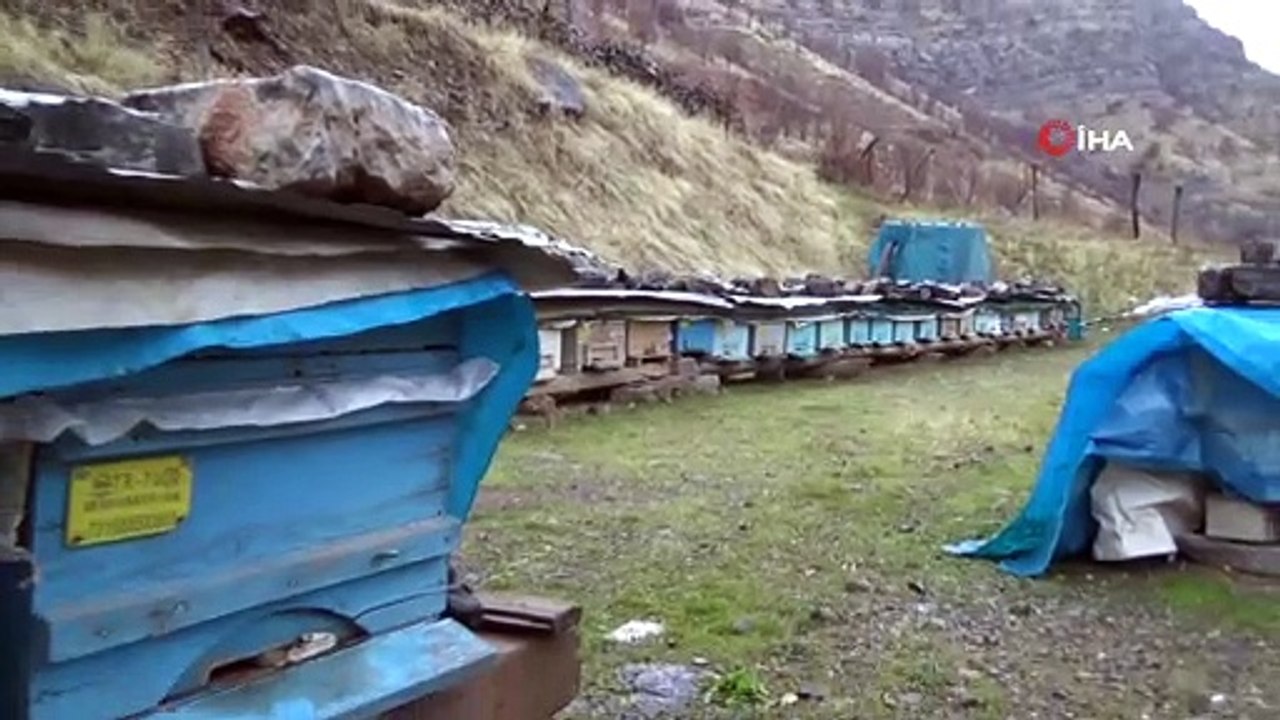Kış uykusuna yatan bal arılarını soğuktan branda ve saçlarla koruyorlar