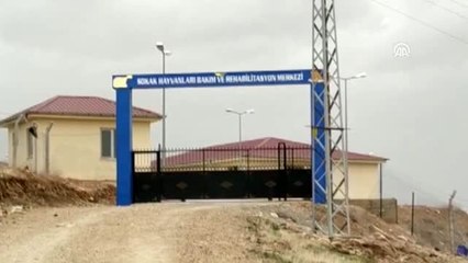 HDP'li belediyenin hayvan barınağında havan mermisi bulundu