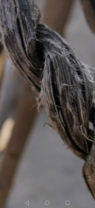 Mate 20 Pro Macro Camera Test || The phone lacks dedicated macro camera but the results are awesome