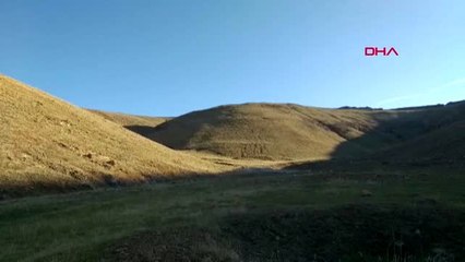 Siirt belediyesi'nin hayvan barınağında havan mermisi bulundu
