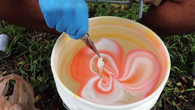 DIY Hydro Dipped Fishing Lures! SO SATISFYING!