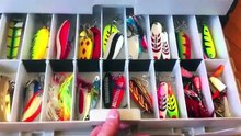 Great Tackle Box Ideas