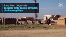 Barış Pınarı bölgesinde çocuklar terör baskısı olmadan okullarına gidiyor