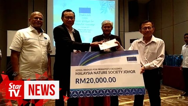 Plantation firm funds construction of aerial bridges for gibbons in Johor forest reserve