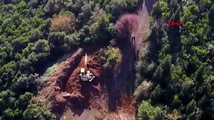 Adalar'da 24 at daha itlaf edildi