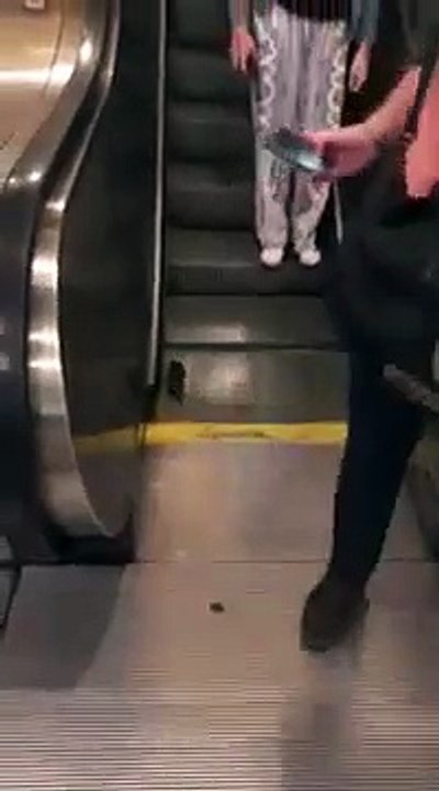El triste final del 'entrenamiento cardio' de esta rata en una escalera de metro de Nueva York