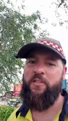 Cute Koala Quenches its Thirst