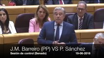 Palos a Pedro Sánchez en el Senado por ser un Gobierno cosmético en el que impera la incertidumbre
