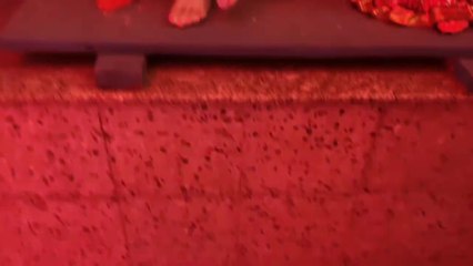 Yashoda Ka Nandlala brij ka ujala hai majedar video song