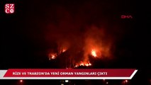Rize ve Trabzon'da yeni orman yangınları
