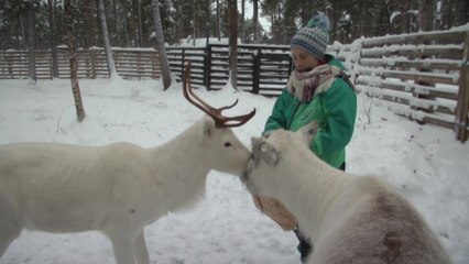 기후 변화에 삶을 위협받는 순록 목동들 / YTN