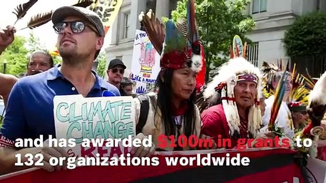 5 Celebrities Fighting The Climate Change Crisis In 2019