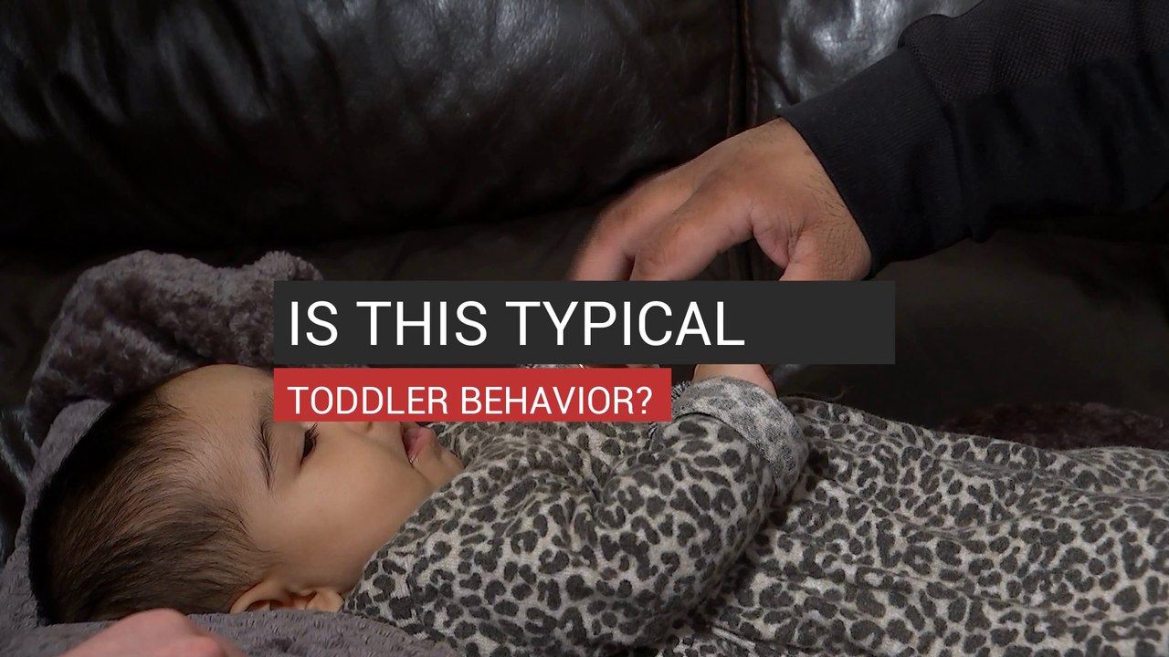 Is This Typical Toddler Behavior?