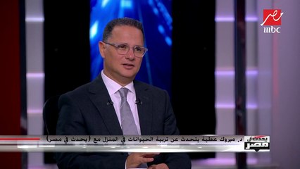 د.مبروك عطية : ترويع المواطنين باستخدام الكلاب لا يجوز