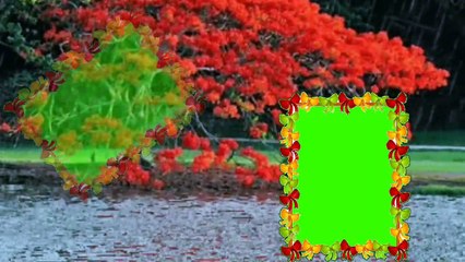 Love Green Screen video Effects 2020