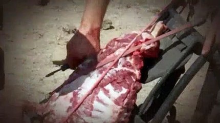 MeatEater S03E13