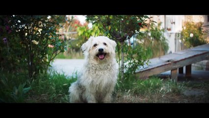 JOHN HENRY movie - Ludacris, Terry Crews