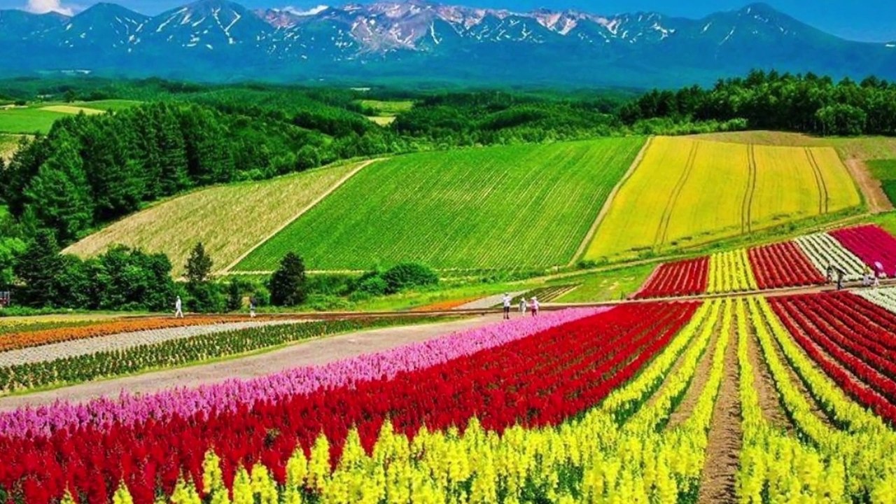 "HOKKAIDO" Top 49 Tourist Places | Hokkaido Tourism | JAPAN