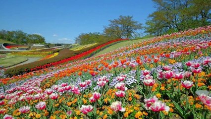 "SENDAI" Top 47 Tourist Places | Sendai Tourism | JAPAN