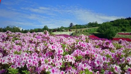 "KANAZAWA" Top 50 Tourist Places | Kanazawa Tourism | JAPAN