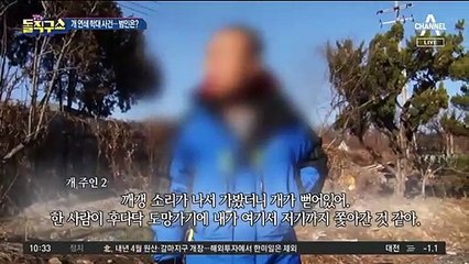 [핫플]경기 시흥에서 개 학대 연쇄 사건 발생