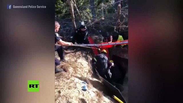 Este australiano intenta cazar un lagarto y termina enterrado hasta el cuello