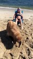 Esta chica decide tomar el sol en la playa, pero su perro le arruina el momento