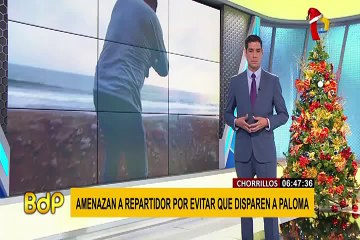 Chorrillos: hombre es amenazado de muerte por defender a una paloma de maltrato animal