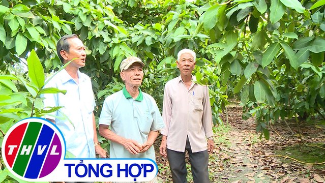 Nông thôn ngày nay: Đồng bào Công giáo tham gia xây dựng nông thôn mới