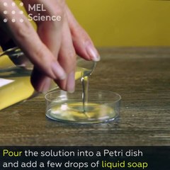 How It's Made: Chemical Christmas Trees by Adam Carrozza
