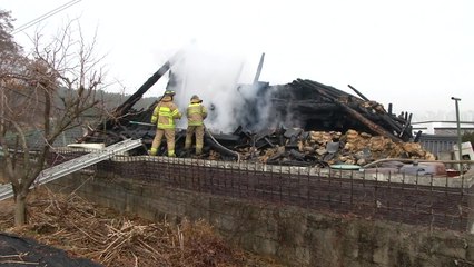 대전 사찰에 불...대웅전 모두 태워 / YTN