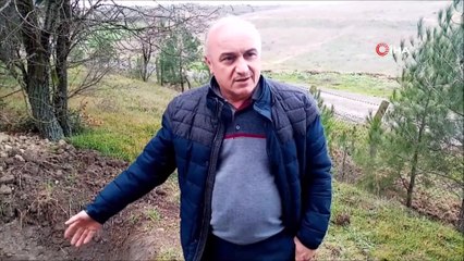 Mezarlıkta define aradılar