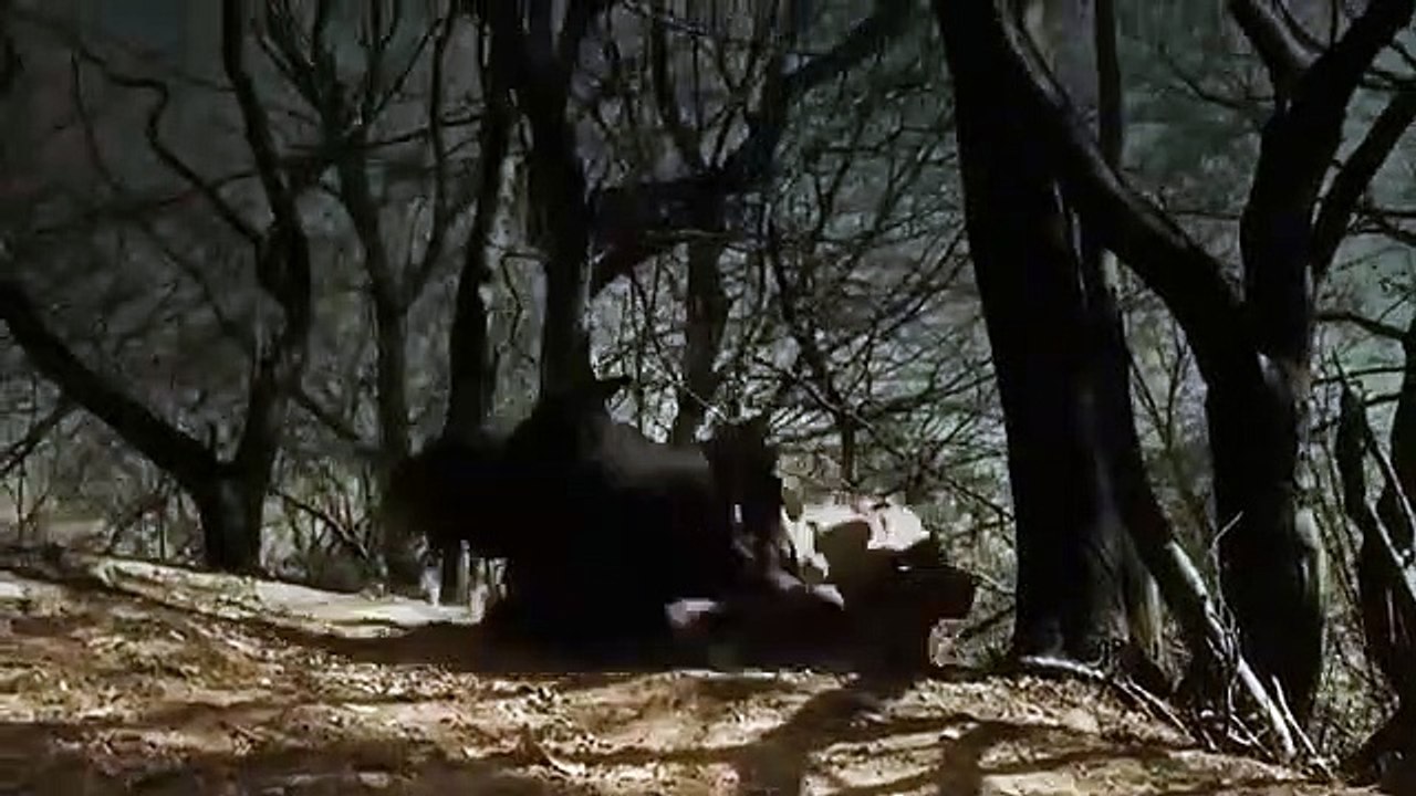 Robin Hood - Ghosts of Sherwood (2012) - Trailer [HD] - Englisch