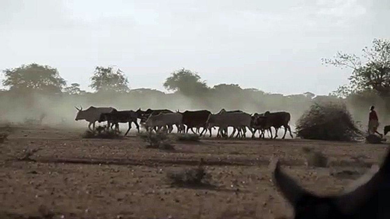 The Kampala Story (Trailer)