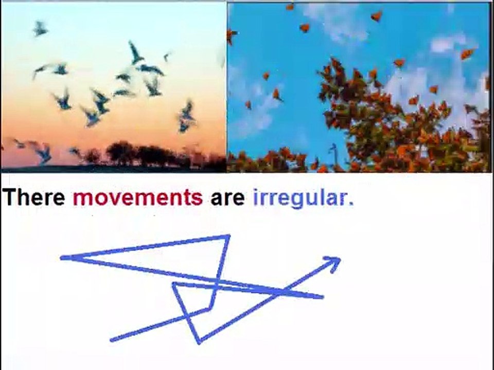 Physics in Urdu class 9 Unit 2.4, random motion