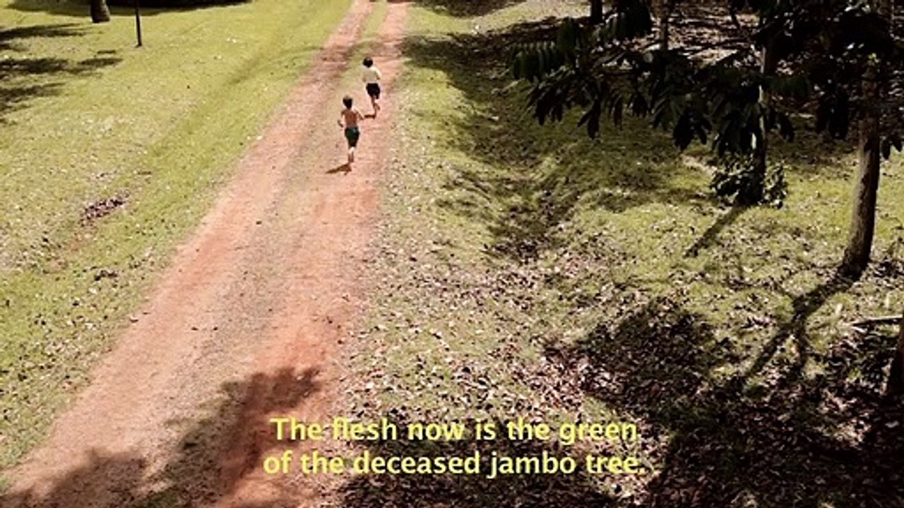TRAILER JAMBEIRO DO DIABO